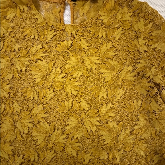 Zara Womens Mustard Lace Crop Top - Three-Quarter Sleeve Size XL - Picture 5 of 11